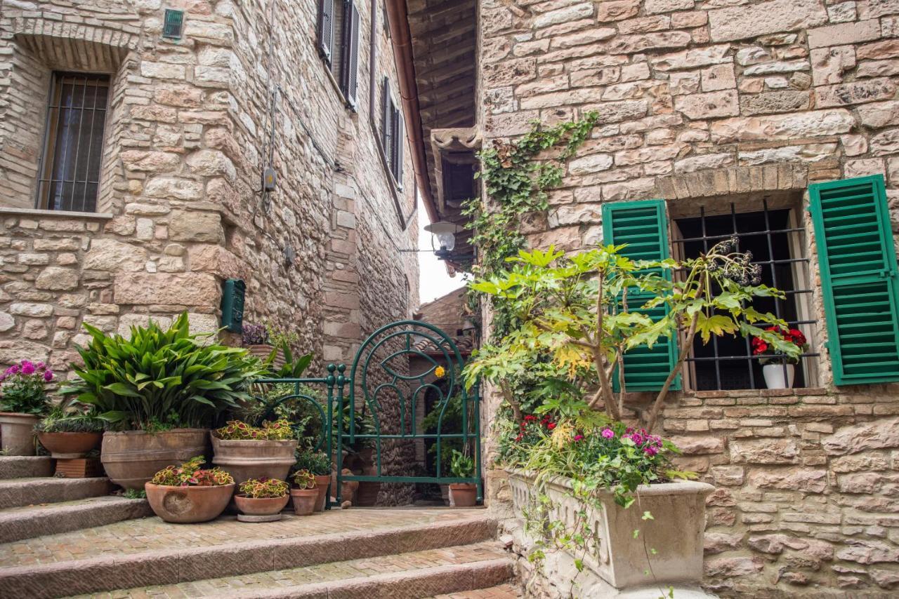 Hotel La Viola Di Assisi Exterior foto