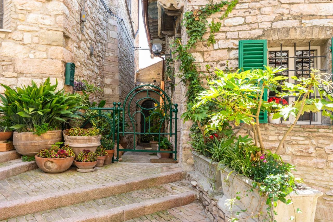 Hotel La Viola Di Assisi Exterior foto
