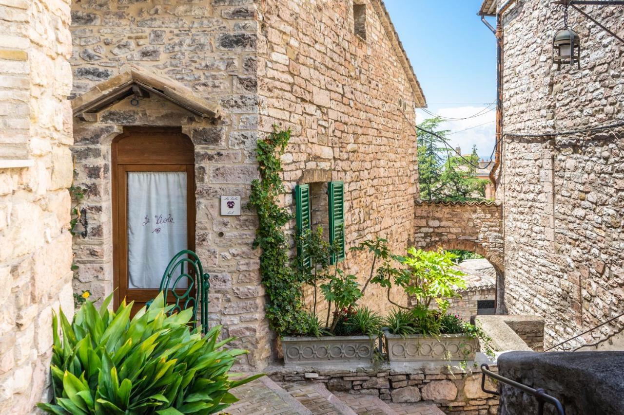 Hotel La Viola Di Assisi Exterior foto