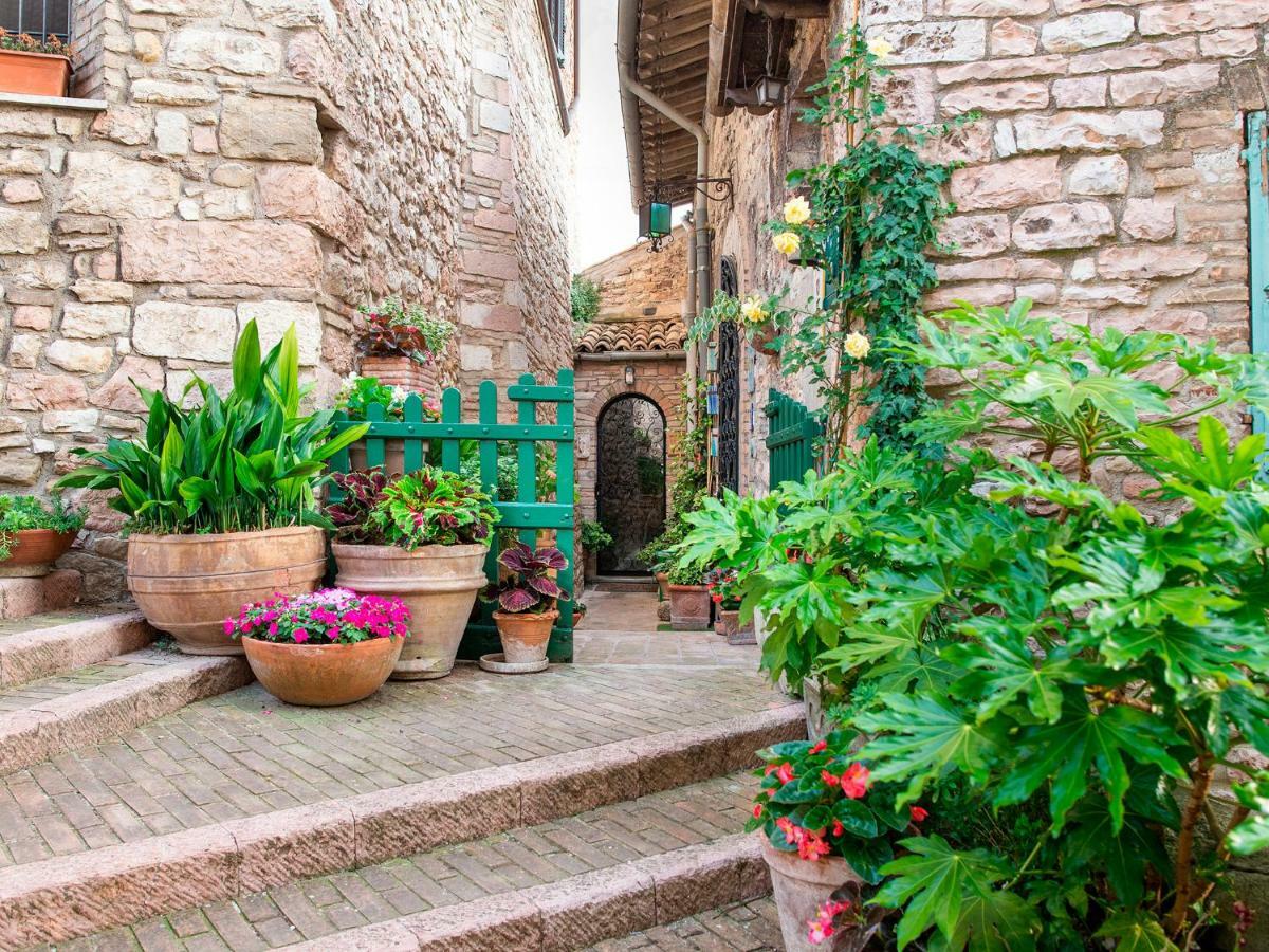 Hotel La Viola Di Assisi Exterior foto
